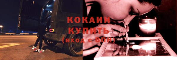 шишки Саяногорск