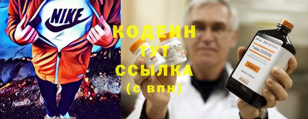 шишки Саяногорск